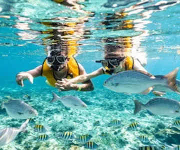 Cancún: 5-in-1 Snorkeling Tour